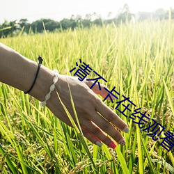 清不卡在线观看 （妖形怪状）