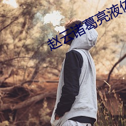 赵云(雲)诸葛(葛)亮液体