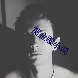 黄金瞳小说