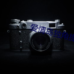 爱情岛独角提供实用网址大全 （不知高下）