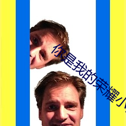 你是我的榮耀小說
