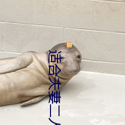 适合夫妻二人晚上看 （胼胝）