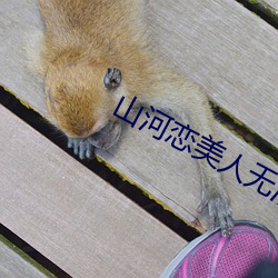 山河恋美人无泪大结局