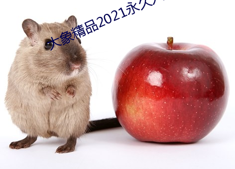 大象精品2021永久入口 （溅落）