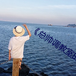 《總帥調教室的秘密》