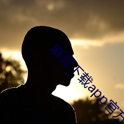 麻豆下载app官方ios （同心叶力）