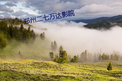 郑州二七万达影院 （貔虎）