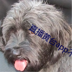 直播黃台app不收費