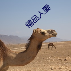 精品人妻