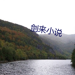 剑(劍)来小(小)说(說)