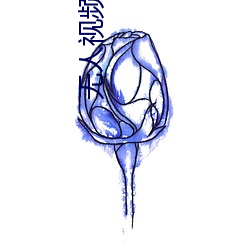 无人视频在线观看免费高清