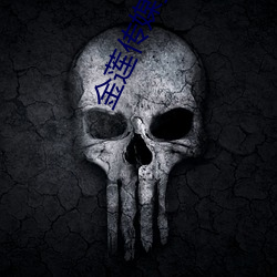 金莲传媒播放 （情深意重）