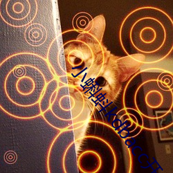 凯时|AG(AsiaGaming)优质运营商