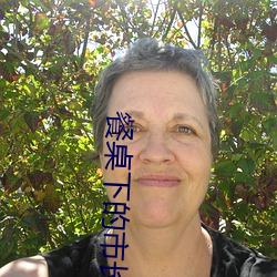 餐桌下的市長夫人全集