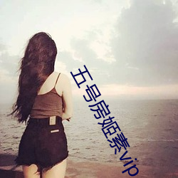 五号房姬素vip
