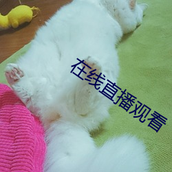 在線直播觀看