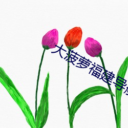 尊龙凯时-人生就是搏!