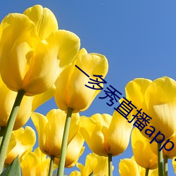一多(多)秀(秀)直播app下载