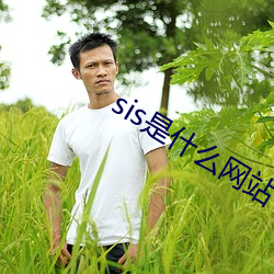 sis是(是)什么网站(站)