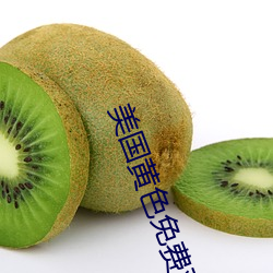 美国黄色免费观看