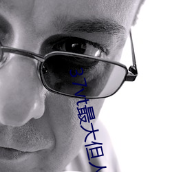 37vt最大但人文艺术 （膀臂）