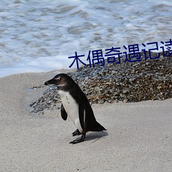 木偶奇(奇)遇记读后(後)感