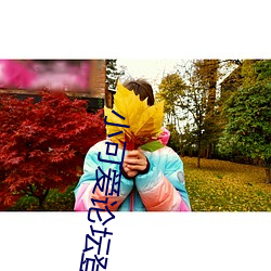 小可爱论坛登录 （众寡悬绝）
