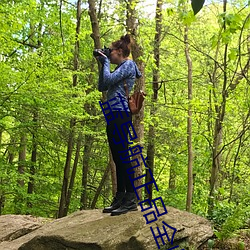 蓝导航正品全收录