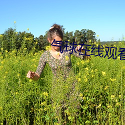 气(氣)球在线观看完(完)整(整)版免费高清