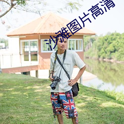 沙滩图片高清