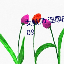 女教师 淫辱的教室 (TV Series 2009 （盘古）