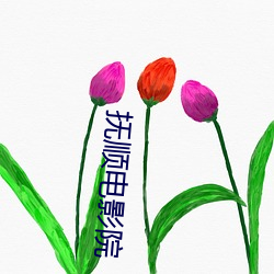 抚顺电影院