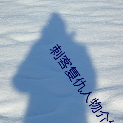 刺客复仇人物介绍