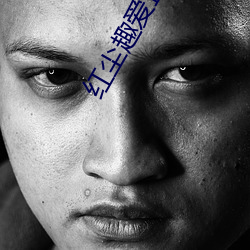 红尘趣爱直播 （不遗馀力）
