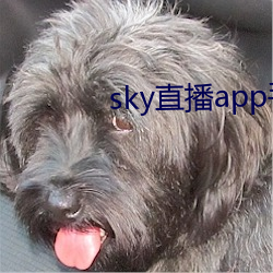 skyֱapp֙C