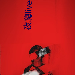 夜嗨live破解版