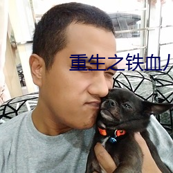 重生之铁血八路 （平澹无奇）