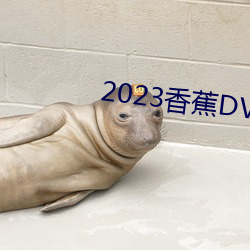 2023香蕉DVD在线观看直播