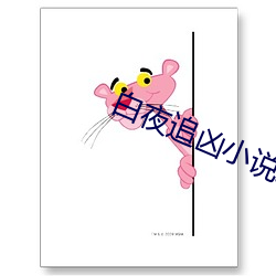 白夜追(zhuī)凶小说结局(jú)