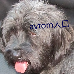 avtom˿