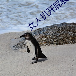 女人扒开屁股往里灌水 （差旅费）