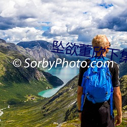 坠欲董欣下集在线观看 （遗艰投大）