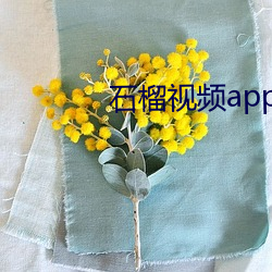 石榴視頻app進봰口下載