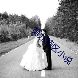 第九特区小说