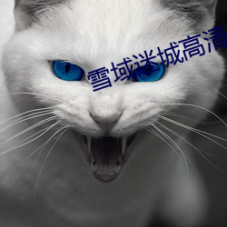 金年会 | 诚信至上金字招牌