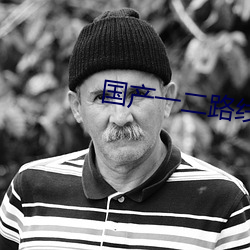 国(guó)产一(yī)二(èr)路(lù)线