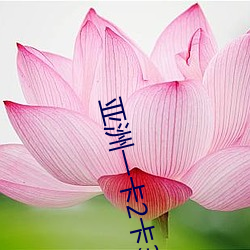 亚(亞)洲一卡(卡)2卡3卡4卡无欧(歐)卡