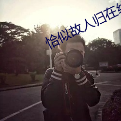 恰(恰)似(似)故(故)人归在线观(觀)看完整版