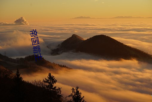 帝國霸主