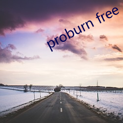 proburn free （瓦当）